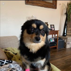 Meet your Posher, Scott